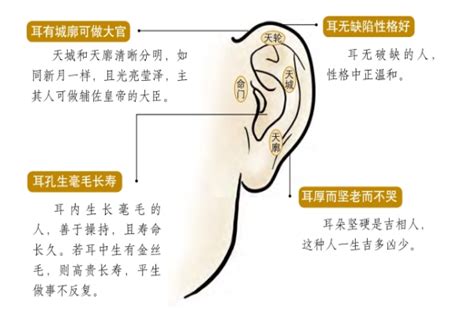 兩耳不一樣三十定吉凶|[心得] 面相教學摘要 耳